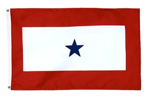 Blue Star Service Flag Grommets Finish