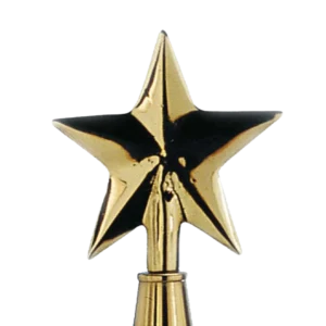 Guiding Star Pole Ornament
