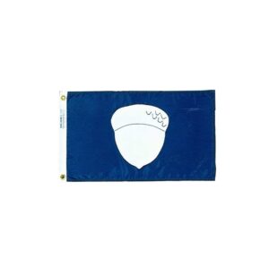 Treasurer Flag Grommets Finish