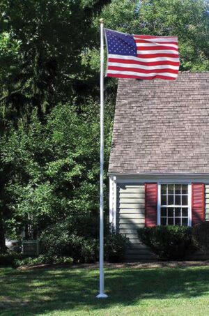 Villager 3 Alliance Flagpole