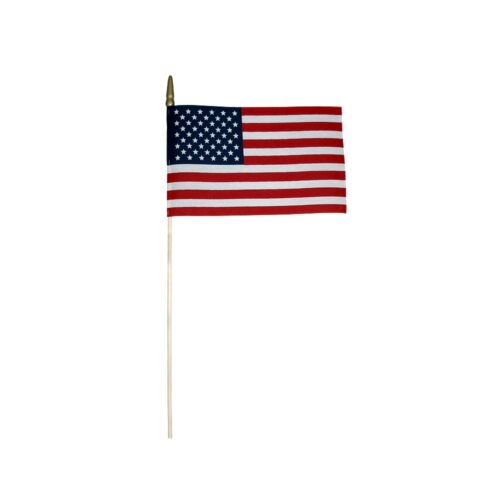 Sewn American Flag Mounted