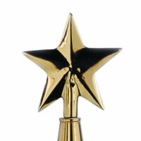 Guiding Star Pole Ornament