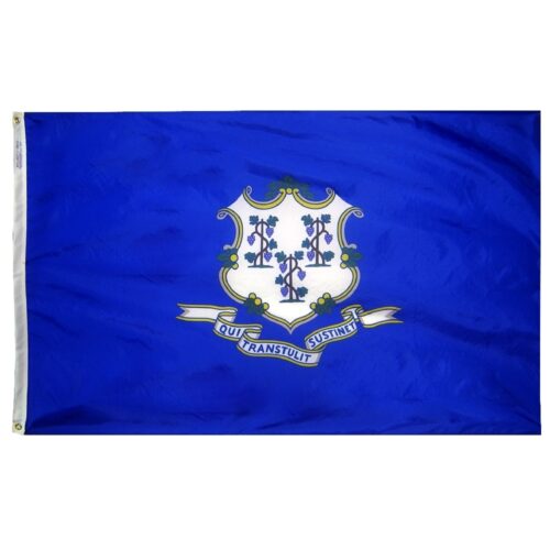 Connecticut Flag Grommets Finish