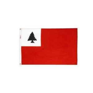 Trumbull Continental Flag Grommets Finish