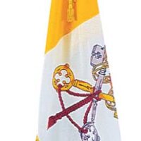 Papal Flag Set - Fringe