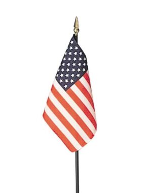 American Flag Mounted