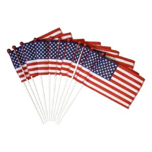 Saf-T-Ball American Flag Mounted