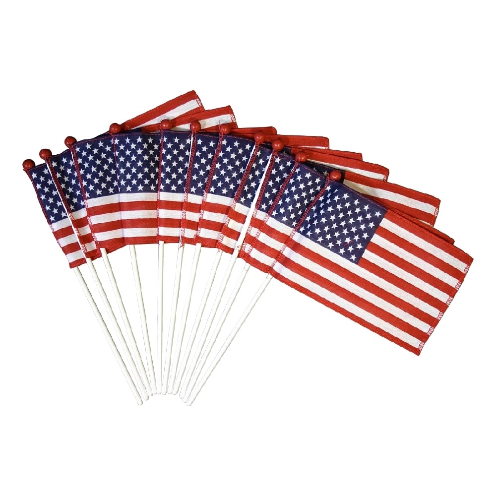 Saf-T-Ball American Flag - Mounted 2 Saf-T-Ball American Flag Mounted