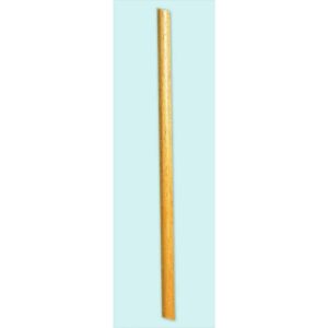 5 Foot B Pole One Ea