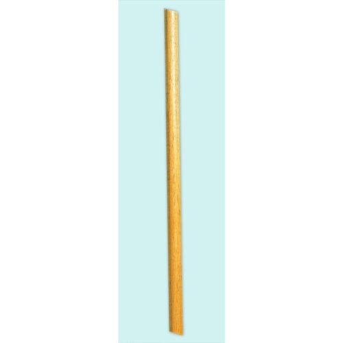 5 Foot B Pole One Ea