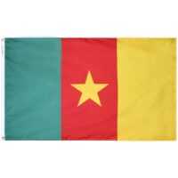 Cameroon Flag - Grommets