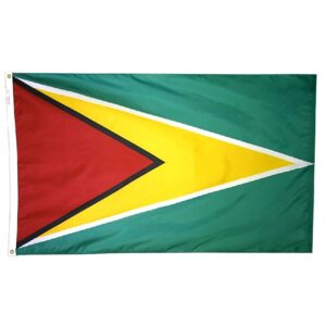 Guyana Flag Grommets