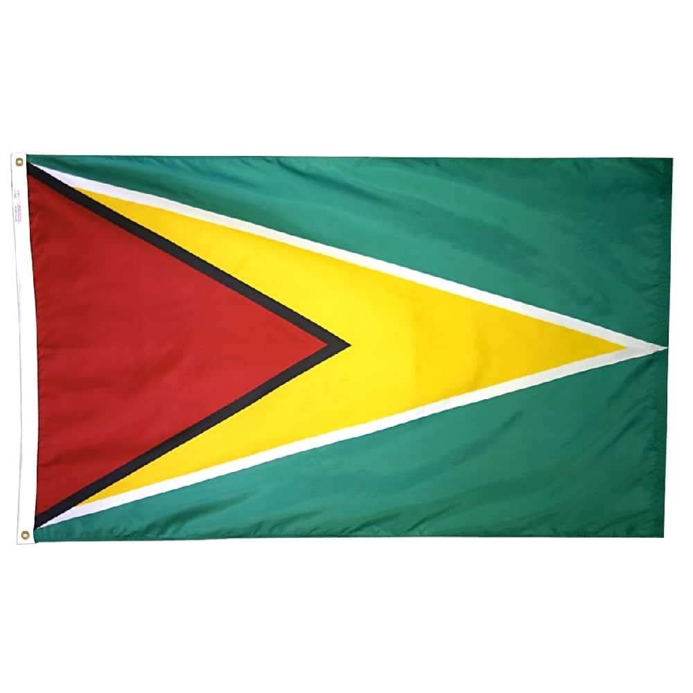 Guyana Flag - Grommets 2 Guyana Flag Grommets