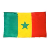 Senegal Flag - Grommets