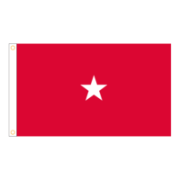 Army 1 Star General Officer Flag - Grommets