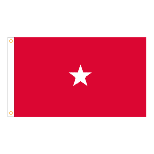 Army 1 Star General Officer Flag Grommets Finish