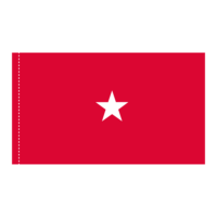 Army 1 Star General Officer Flag - Pole Hem