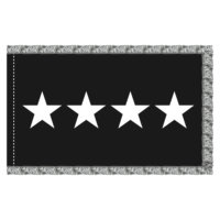 Space Force 4 Star General Officer Flag - Fringe