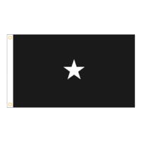 Space Force 1 Star General Officer Flag - Grommets