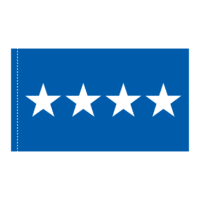 USAF 4 Star General Officer Flag - Pole Hem