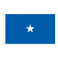 USAF 1 Star General Officer Flag - Grommets