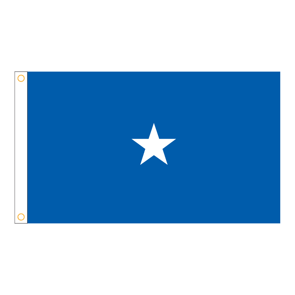 USAF 1 Star General Officer Flag - Grommets 2 USAF 1 Star General Officer Flag - Grommets