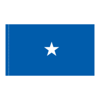 USAF 1 Star General Officer Flag - Pole Hem