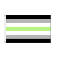 A-Gender Pride Flag - Grommets
