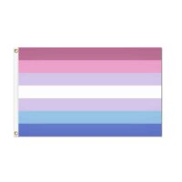 Bi Gender Pride Flag - Grommets