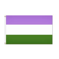 Genderqueer Pride Flag - Grommets