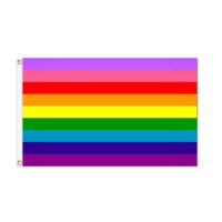Gilbert Baker Pride Flag - Grommets
