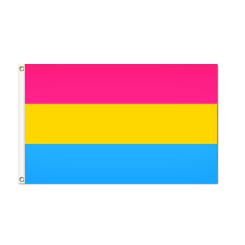Pansexual Pride Flag Grommets Finish