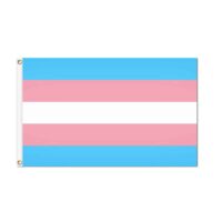 Transgender Pride Flag - Grommets