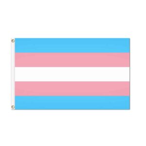 Transgender Pride Flag Grommets Finish