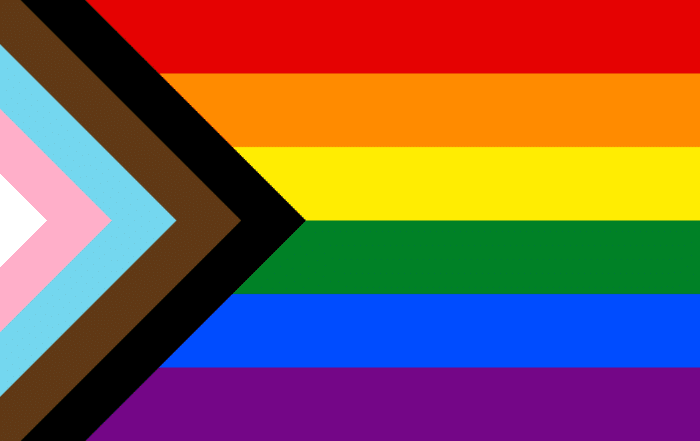 Progress Pride flag: six rainbow stripes with a chevron of white, pink, light blue, brown, and black at the hoist