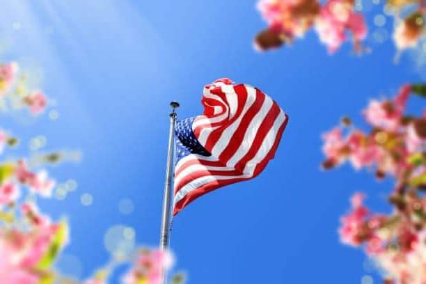 American flag flying from a pole against a blue sky with spring blossoms in the foreground